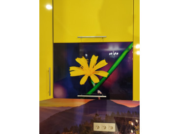 КУХНЯ Dandelion