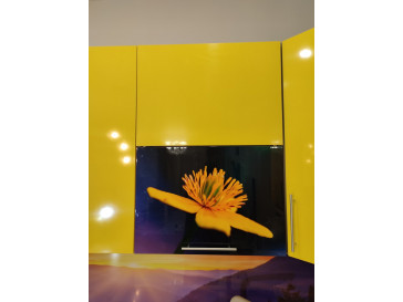 КУХНЯ Dandelion